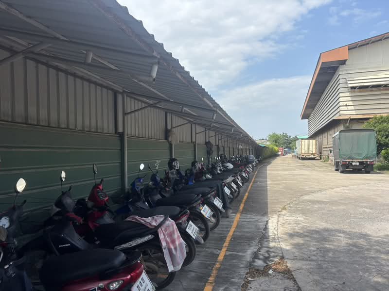 ที่ดิน ติดถนนวงแหวน ฉะเชิงเทรา, Chachoengsao, Nong Bua, Ban Pho, Chachoengsao, , 5,000 sqm, Warehouse/Factory For Sale, by รัชพล, 500256487 - DDproperty.com