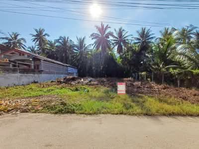 ขาย - ที่ดินแม่กลอง สมุทรสงคราม, สมุทรสงคราม