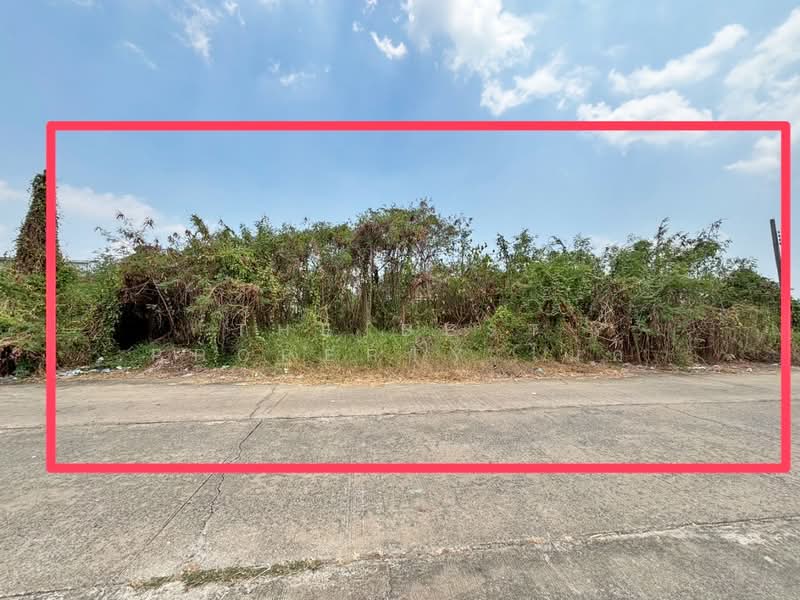 ที่ดินหนองจอก กรุงเทพมหานคร, Bangkok, Lam Phak Chi, Nong Chok, Bangkok, , 384 sqm, Land For Sale, by The Best Property ไมค์, 500256522 - DDproperty.com
