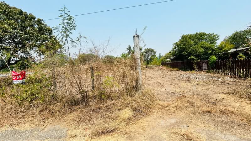 ที่ดินโพธาราม ราชบุรี, Ratchaburi, Tao Pun, Photharam, Ratchaburi, , 800 sqm, Land For Sale, by The Best Property แอม, 500256529 - DDproperty.com