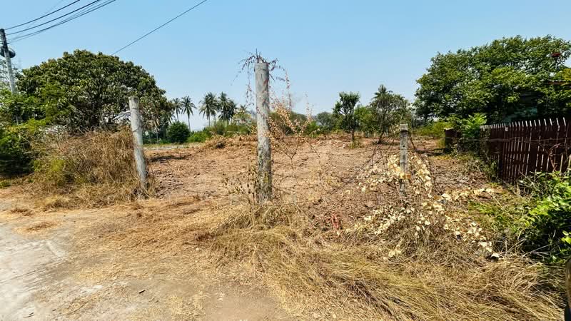 ที่ดินโพธาราม ราชบุรี, Ratchaburi, Tao Pun, Photharam, Ratchaburi, , 800 sqm, Land For Sale, by The Best Property แอม, 500256529 - DDproperty.com