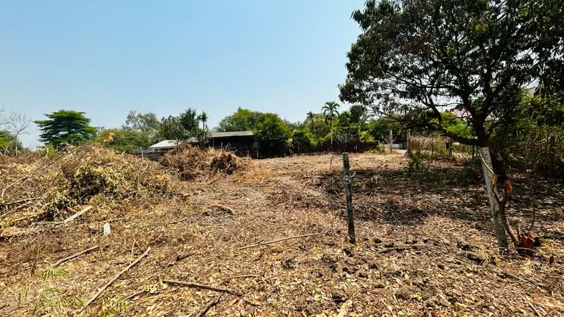 ที่ดินโพธาราม ราชบุรี, Ratchaburi, Tao Pun, Photharam, Ratchaburi, , 800 sqm, Land For Sale, by The Best Property แอม, 500256529 - DDproperty.com
