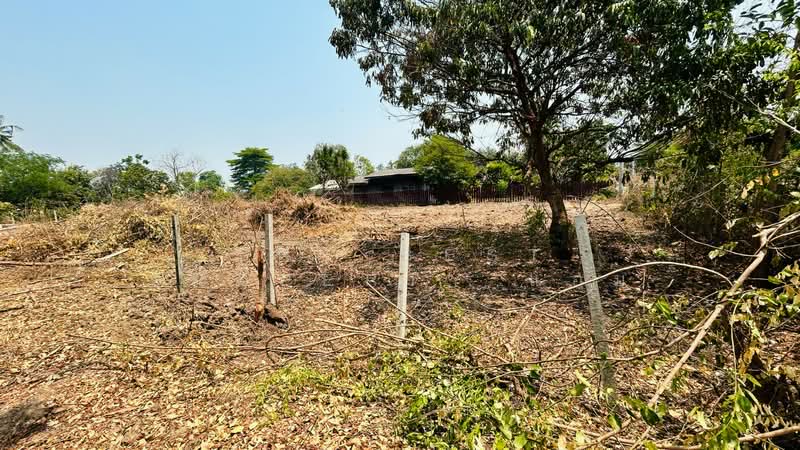 ที่ดินโพธาราม ราชบุรี, Ratchaburi, Tao Pun, Photharam, Ratchaburi, , 800 sqm, Land For Sale, by The Best Property แอม, 500256529 - DDproperty.com