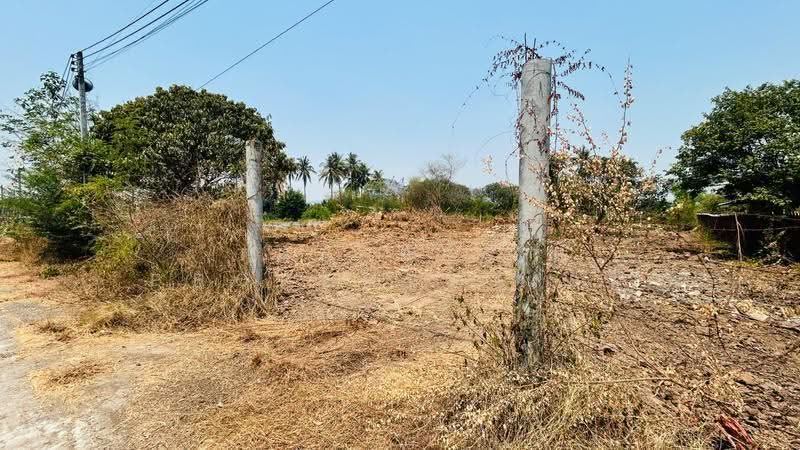 ที่ดินโพธาราม ราชบุรี, Ratchaburi, Tao Pun, Photharam, Ratchaburi, , 800 sqm, Land For Sale, by The Best Property แอม, 500256529 - DDproperty.com