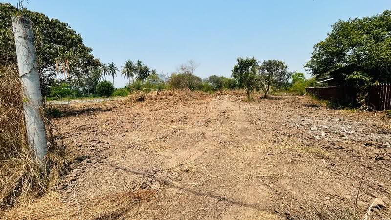 ที่ดินโพธาราม ราชบุรี, Ratchaburi, Tao Pun, Photharam, Ratchaburi, , 800 sqm, Land For Sale, by The Best Property แอม, 500256529 - DDproperty.com