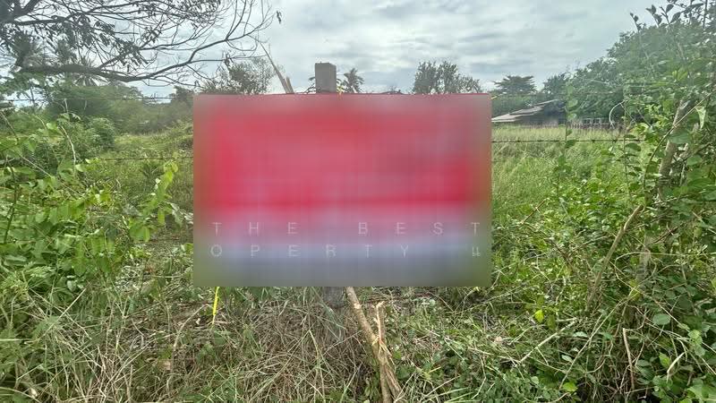 ที่ดินโพธาราม ราชบุรี, Ratchaburi, Tao Pun, Photharam, Ratchaburi, , 800 sqm, Land For Sale, by The Best Property แอม, 500256529 - DDproperty.com