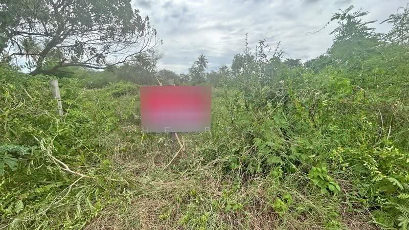 ที่ดินโพธาราม ราชบุรี, Ratchaburi, Tao Pun, Photharam, Ratchaburi, , 800 sqm, Land For Sale, by The Best Property แอม, 500256529 - DDproperty.com