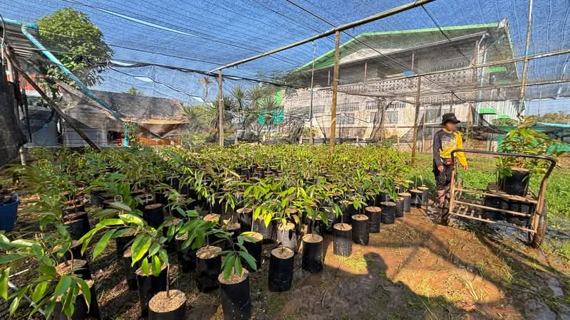 ที่ดินท่าใหม่ จันทบุรี, จันทบุรี, เขาวัว, ท่าใหม่, จันทบุรี, 2,468 ตร.ม., ที่ดิน ขาย, โดย The Best Property Agent หนึ่ง, 500256551 - DDproperty.com