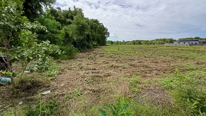 ที่ดินหนองปลิง นครสวรรค์, Nakhon Sawan, Nong Pling, Muang Nakhon Sawan, Nakhon Sawan, , 7,708 sqm, Land For Sale, by The Best Property โอ๋, 500256560 - DDproperty.com
