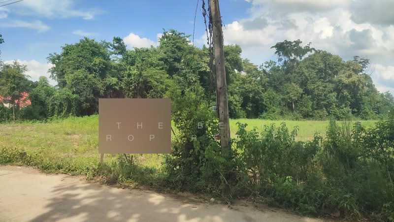 ที่ดินหนองปลิง นครสวรรค์, Nakhon Sawan, Nong Pling, Muang Nakhon Sawan, Nakhon Sawan, , 7,708 sqm, Land For Sale, by The Best Property โอ๋, 500256560 - DDproperty.com