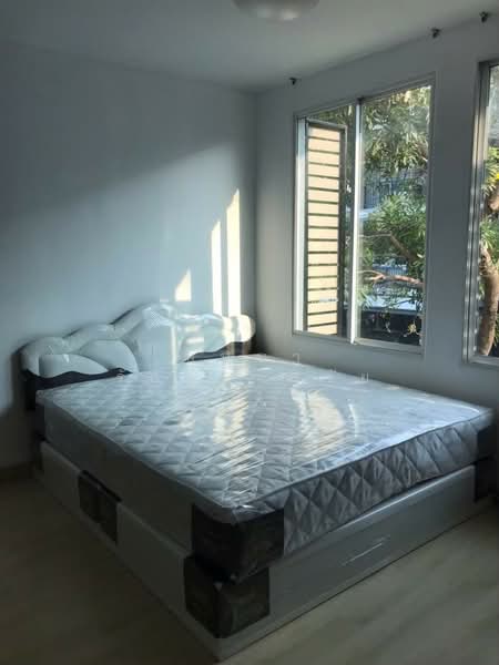 Areeya Daily Kaset-Nawamintr, Bangkok, Ladplakhao Road, Chorake Bua, Lat Phrao, Bangkok, 3 Bedrooms, 160 sqm, Townhouse For Rent, by บุษบา รัตนวงษ์ชัย, 500256590 - DDproperty.com