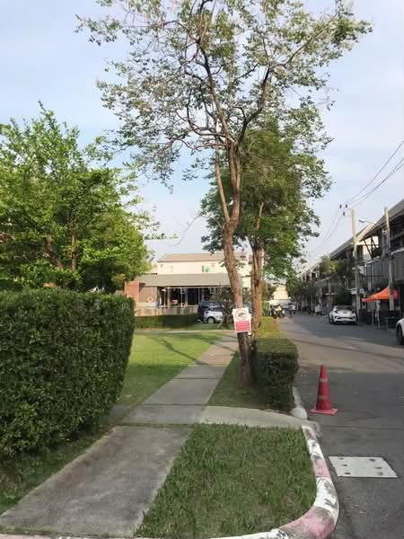 Areeya Daily Kaset-Nawamintr, Bangkok, Ladplakhao Road, Chorake Bua, Lat Phrao, Bangkok, 3 Bedrooms, 160 sqm, Townhouse For Rent, by บุษบา รัตนวงษ์ชัย, 500256590 - DDproperty.com