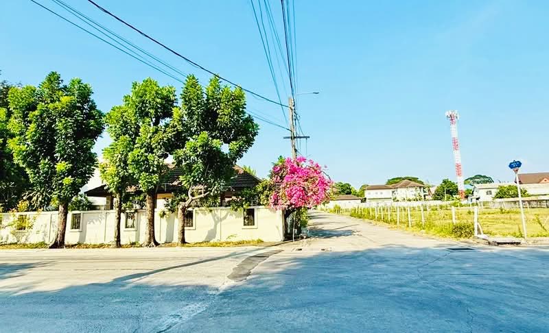 บ้านเดี่ยวสะพานสูง กรุงเทพมหานคร, กรุงเทพ, สะพานสูง, สะพานสูง, กรุงเทพ, 100 ตร.ม., บ้านเดี่ยว ขาย, โดย The Best Property อาท, 500256595 - DDproperty.com