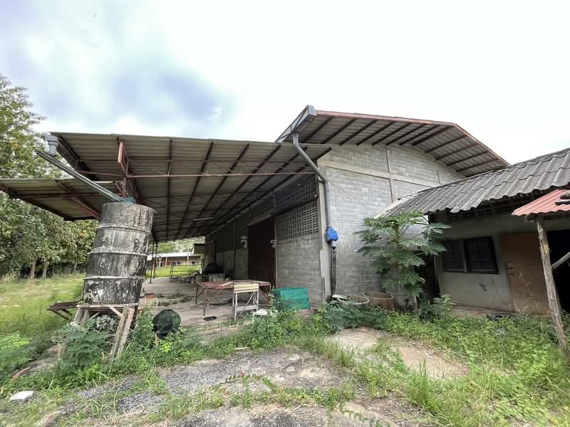 Warehouse for rent, Nakhon Ratchasima, Nai Muang, Muang Nakhon Ratchasima, Nakhon Ratchasima, , 400 sqm, Warehouse/Factory For Rent, by วิรณี, 500256646 - DDproperty.com