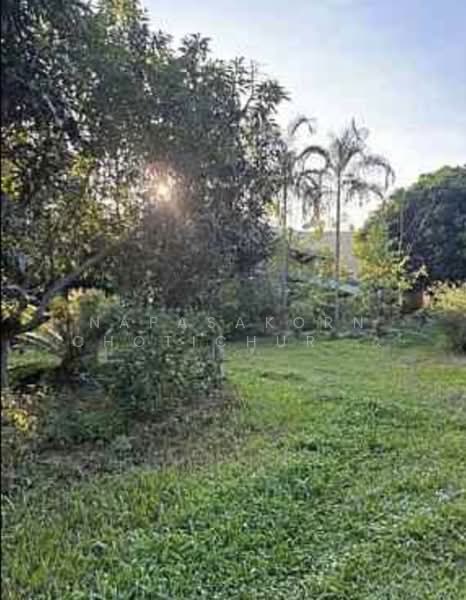 ขาย - ขายที่ดินพร้อมบ้านแม่แจ่ม เชียงใหม่, เชียงใหม่