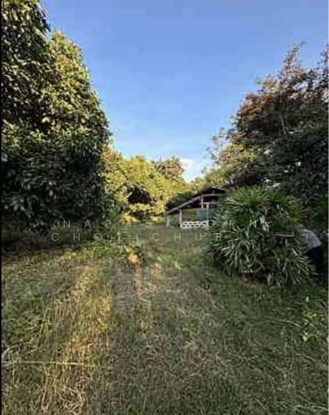 ขาย - ขายที่ดินพร้อมบ้านแม่แจ่ม เชียงใหม่, เชียงใหม่