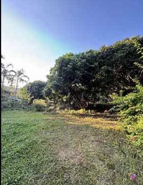 ขายที่ดินพร้อมบ้านแม่แจ่ม เชียงใหม่, Chiang Mai, Tha Pha, Mae Chaem, Chiang Mai, , 17,600 sqm, Land For Sale, by Napasakorn Chotichurangkul, 500256747 - DDproperty.com