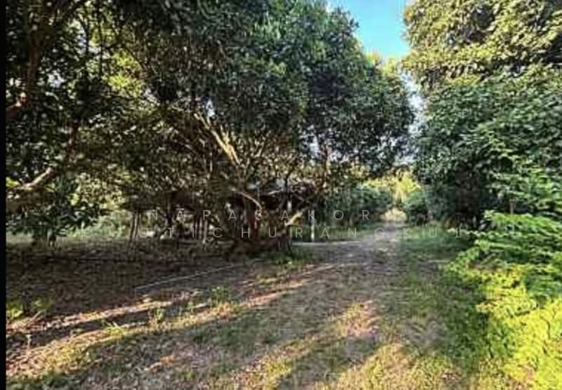 ขายที่ดินพร้อมบ้านแม่แจ่ม เชียงใหม่, Chiang Mai, Tha Pha, Mae Chaem, Chiang Mai, , 17,600 sqm, Land For Sale, by Napasakorn Chotichurangkul, 500256747 - DDproperty.com