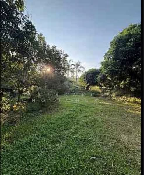 ขายที่ดินพร้อมบ้านแม่แจ่ม เชียงใหม่, Chiang Mai, Tha Pha, Mae Chaem, Chiang Mai, , 17,600 sqm, Land For Sale, by Napasakorn Chotichurangkul, 500256747 - DDproperty.com