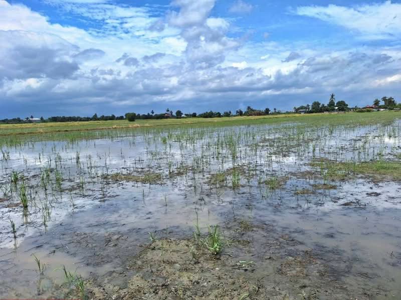 ที่ดินโคกโคเฒ่า สุพรรณบุรี, สุพรรณบุรี, โคกโคเฒ่า, เมืองสุพรรณบุรี, สุพรรณบุรี, 6,400 ตร.ม., ที่ดิน ขาย, โดย The Best Property หาญ, 500256786 - DDproperty.com