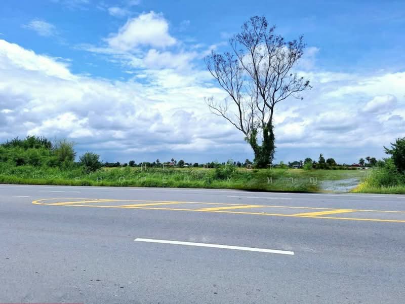 ที่ดินโคกโคเฒ่า สุพรรณบุรี, Suphan Buri, Khok Kho Thao, Muang Suphanburi, Suphan Buri, , 6,400 sqm, Land For Sale, by The Best Property หาญ, 500256786 - DDproperty.com