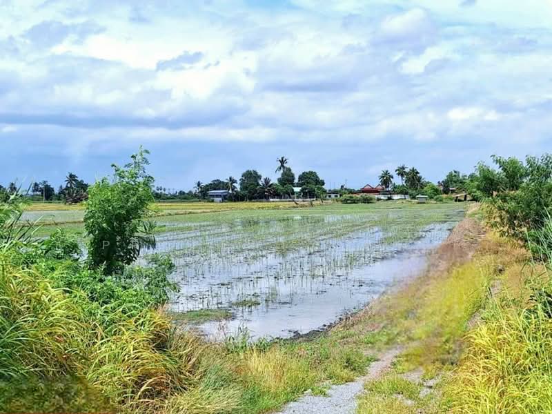 ที่ดินโคกโคเฒ่า สุพรรณบุรี, Suphan Buri, Khok Kho Thao, Muang Suphanburi, Suphan Buri, , 6,400 sqm, Land For Sale, by The Best Property หาญ, 500256786 - DDproperty.com