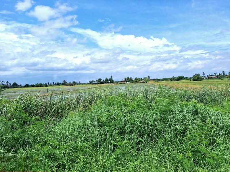 ที่ดินโคกโคเฒ่า สุพรรณบุรี, Suphan Buri, Khok Kho Thao, Muang Suphanburi, Suphan Buri, , 6,400 sqm, Land For Sale, by The Best Property หาญ, 500256786 - DDproperty.com