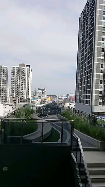 Rhythm Asoke, Bangkok, 299 Asoke - Dindaeng Road, Makkasan, Ratchathewi, Bangkok, 1 Bedroom, 31 sqm, Condo For Rent, by Hathaichanok Saenset, 500256972 - DDproperty.com