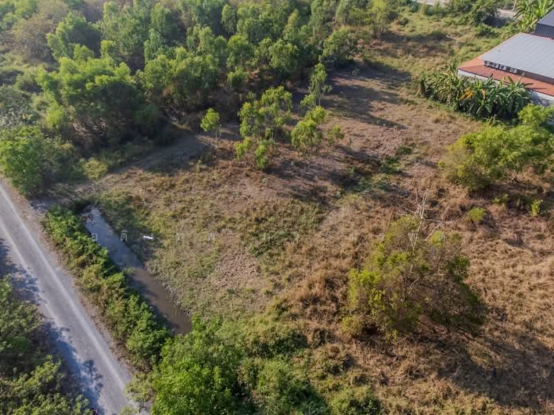 คลองสาม, Pathum Thani, เรียบคลองสาม, Khlong Sam, Khlong Luang, Pathum Thani, , 1,588 sqm, Land For Sale, by อดิเทพ ภระมรทัต, 500256998 - DDproperty.com