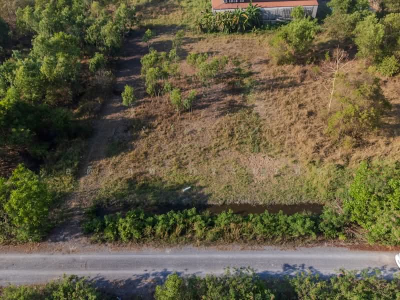 คลองสาม, ปทุมธานี, เรียบคลองสาม, คลองสาม, คลองหลวง, ปทุมธานี, 1,588 ตร.ม., ที่ดิน ขาย, โดย อดิเทพ ภระมรทัต, 500256998 - DDproperty.com