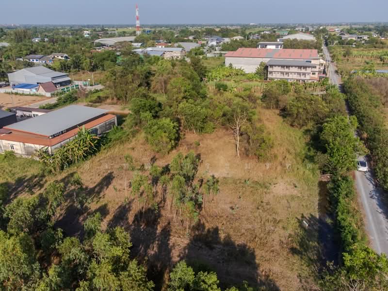คลองสาม, ปทุมธานี, เรียบคลองสาม, คลองสาม, คลองหลวง, ปทุมธานี, 1,588 ตร.ม., ที่ดิน ขาย, โดย อดิเทพ ภระมรทัต, 500256998 - DDproperty.com