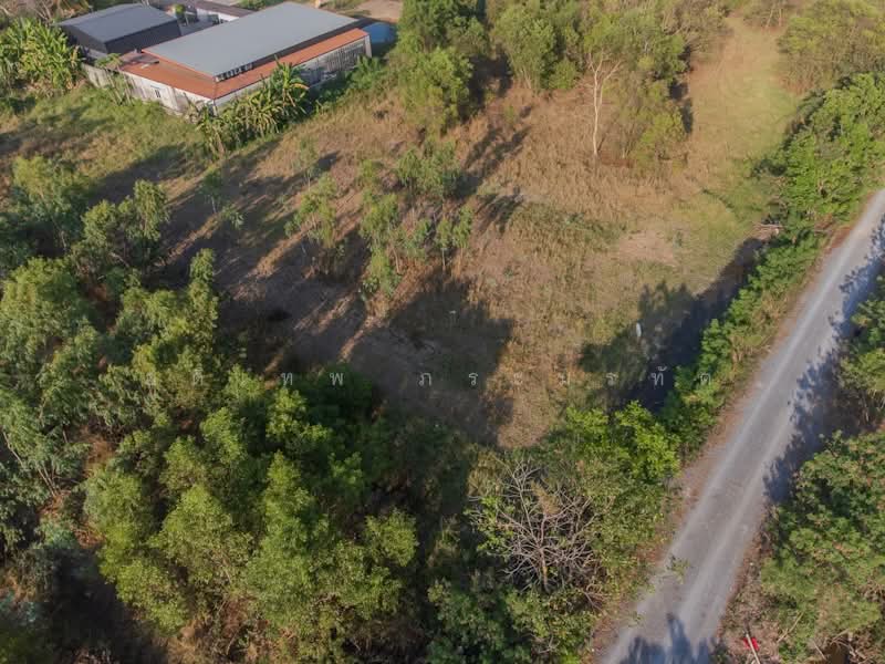คลองสาม, ปทุมธานี, เรียบคลองสาม, คลองสาม, คลองหลวง, ปทุมธานี, 1,588 ตร.ม., ที่ดิน ขาย, โดย อดิเทพ ภระมรทัต, 500256998 - DDproperty.com