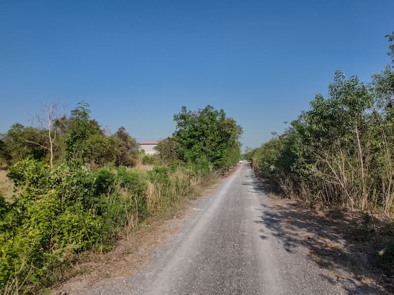 คลองสาม, ปทุมธานี, เรียบคลองสาม, คลองสาม, คลองหลวง, ปทุมธานี, 1,588 ตร.ม., ที่ดิน ขาย, โดย อดิเทพ ภระมรทัต, 500256998 - DDproperty.com