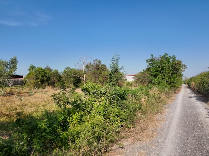 คลองสาม, Pathum Thani, เรียบคลองสาม, Khlong Sam, Khlong Luang, Pathum Thani, , 1,588 sqm, Land For Sale, by อดิเทพ ภระมรทัต, 500256998 - DDproperty.com