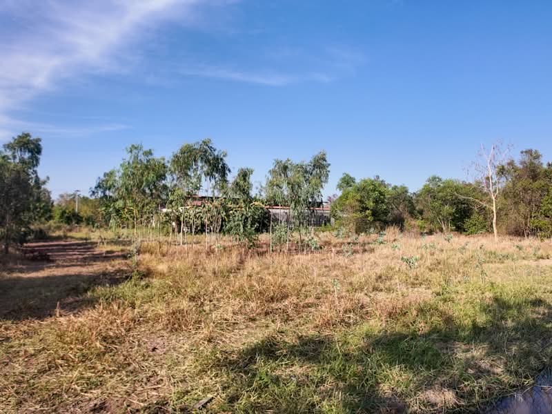 คลองสาม, ปทุมธานี, เรียบคลองสาม, คลองสาม, คลองหลวง, ปทุมธานี, 1,588 ตร.ม., ที่ดิน ขาย, โดย อดิเทพ ภระมรทัต, 500256998 - DDproperty.com