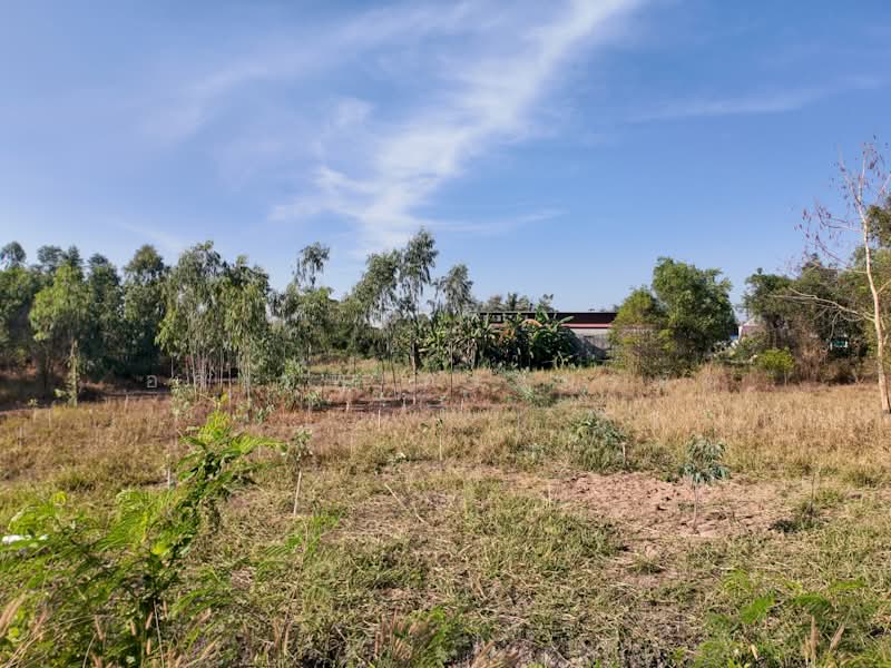 คลองสาม, ปทุมธานี, เรียบคลองสาม, คลองสาม, คลองหลวง, ปทุมธานี, 1,588 ตร.ม., ที่ดิน ขาย, โดย อดิเทพ ภระมรทัต, 500256998 - DDproperty.com