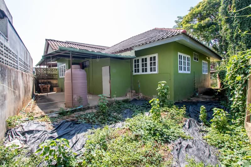 Renovation or Redevelopment Opportunity in Pa Daet, Chiang Mai, Pa Daet, Muang Chiang Mai, Chiang Mai, , 304 sqm, Land For Sale, by คุณ รุ่งทิพย์, 500257038 - DDproperty.com