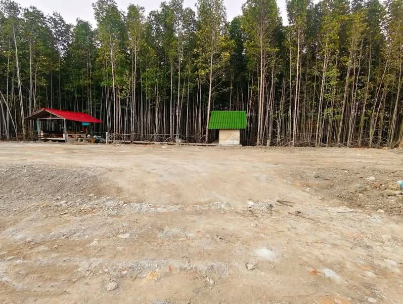 For Sale - ที่ดินเกาะขวาง จันทบุรี, Chanthaburi