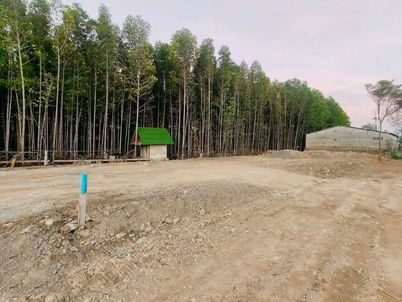 For Sale - ที่ดินเกาะขวาง จันทบุรี, Chanthaburi