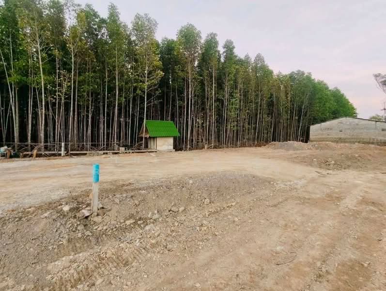 For Sale - ที่ดินเกาะขวาง จันทบุรี, Chanthaburi