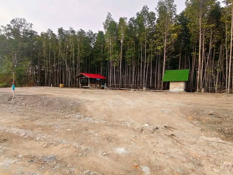 For Sale - ที่ดินเกาะขวาง จันทบุรี, Chanthaburi