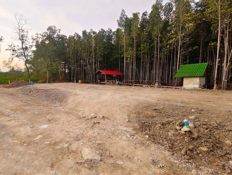 For Sale - ที่ดินเกาะขวาง จันทบุรี, Chanthaburi