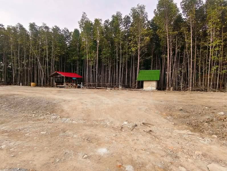 For Sale - ที่ดินเกาะขวาง จันทบุรี, Chanthaburi