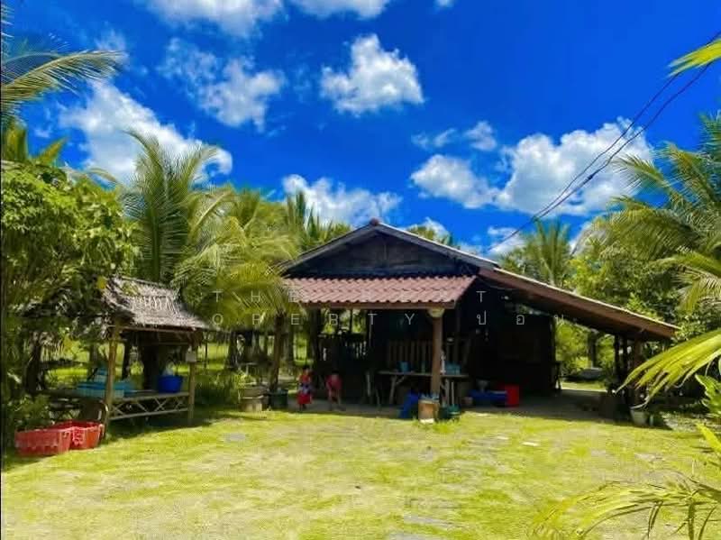 For Sale - ที่ดินพร้อมสิ่งปลูกสร้างเฉลิมพระเกียรติ นครศรีธรรมราช, Nakhon Si Thammarat