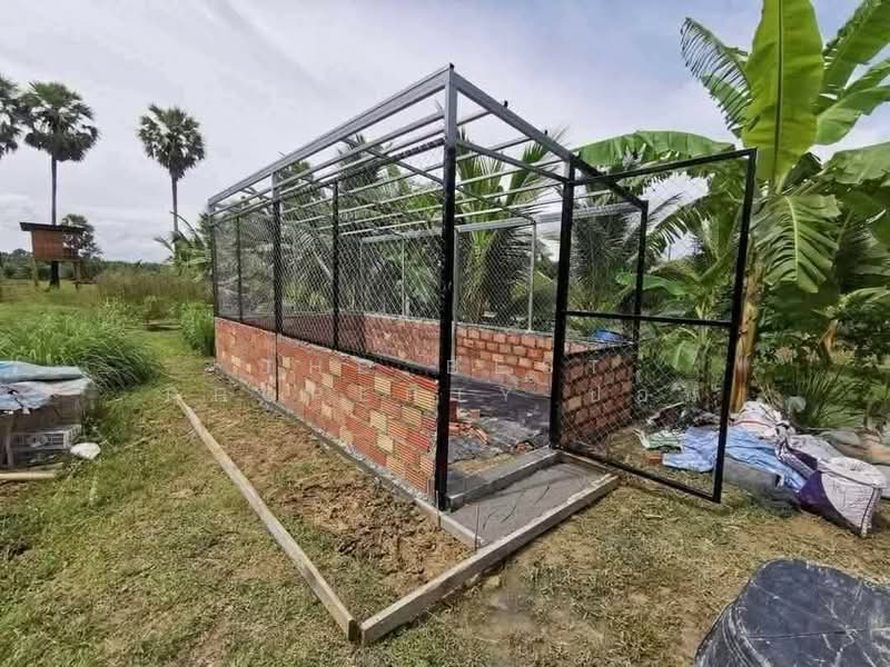 For Sale - ที่ดินพร้อมสิ่งปลูกสร้างเฉลิมพระเกียรติ นครศรีธรรมราช, Nakhon Si Thammarat