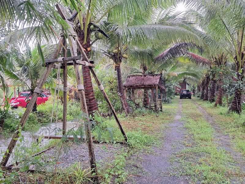 For Sale - ที่ดินพร้อมสิ่งปลูกสร้างเฉลิมพระเกียรติ นครศรีธรรมราช, Nakhon Si Thammarat