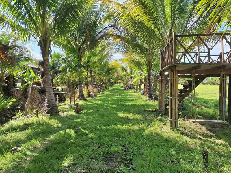 For Sale - ที่ดินพร้อมสิ่งปลูกสร้างเฉลิมพระเกียรติ นครศรีธรรมราช, Nakhon Si Thammarat