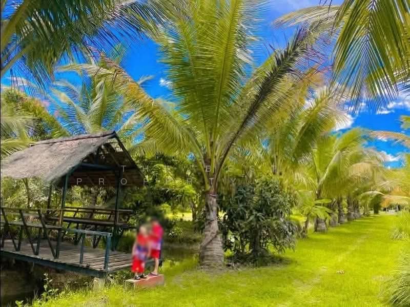 For Sale - ที่ดินพร้อมสิ่งปลูกสร้างเฉลิมพระเกียรติ นครศรีธรรมราช, Nakhon Si Thammarat