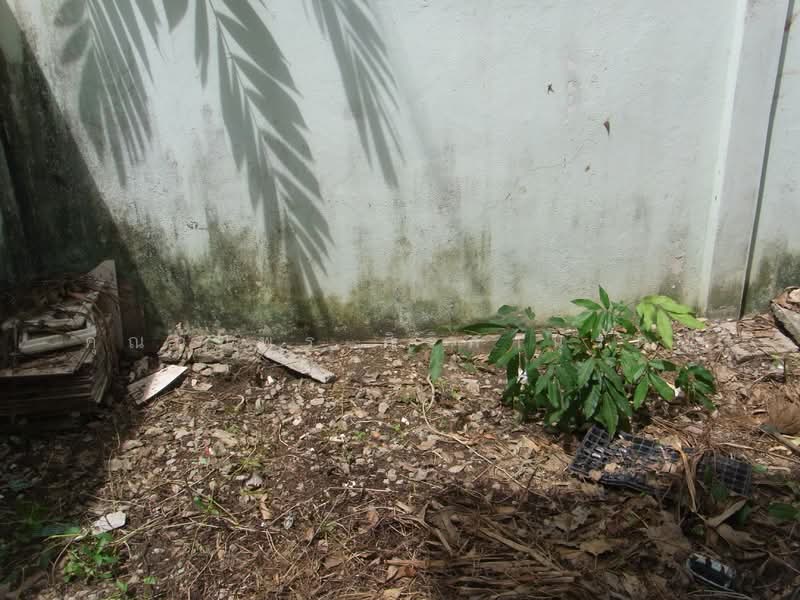 ให้เช่าบ้านเดี่ยว โครงการเพชรสยาม3 บางบอน3 กรุงเทพฯ, Bangkok, บางบอน3, Bang Chak, Phasi Charoen, Bangkok, 3 Bedrooms, 230 sqm, Single Detached House For Rent, by คุณอัมพร ศิริภานุรัตน์, 500257161 - DDproperty.com