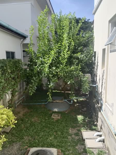 Moobaan Chollada Suvarnabhumi, Samut Prakan, Sri Waree Noi Road, Srisa Chorakhe Noi, Bang Sao Thong, Samut Prakan, 3 Bedrooms, 150 sqm, Single Detached House For Rent, by บุษบา รัตนวงษ์ชัย, 500257206 - DDproperty.com